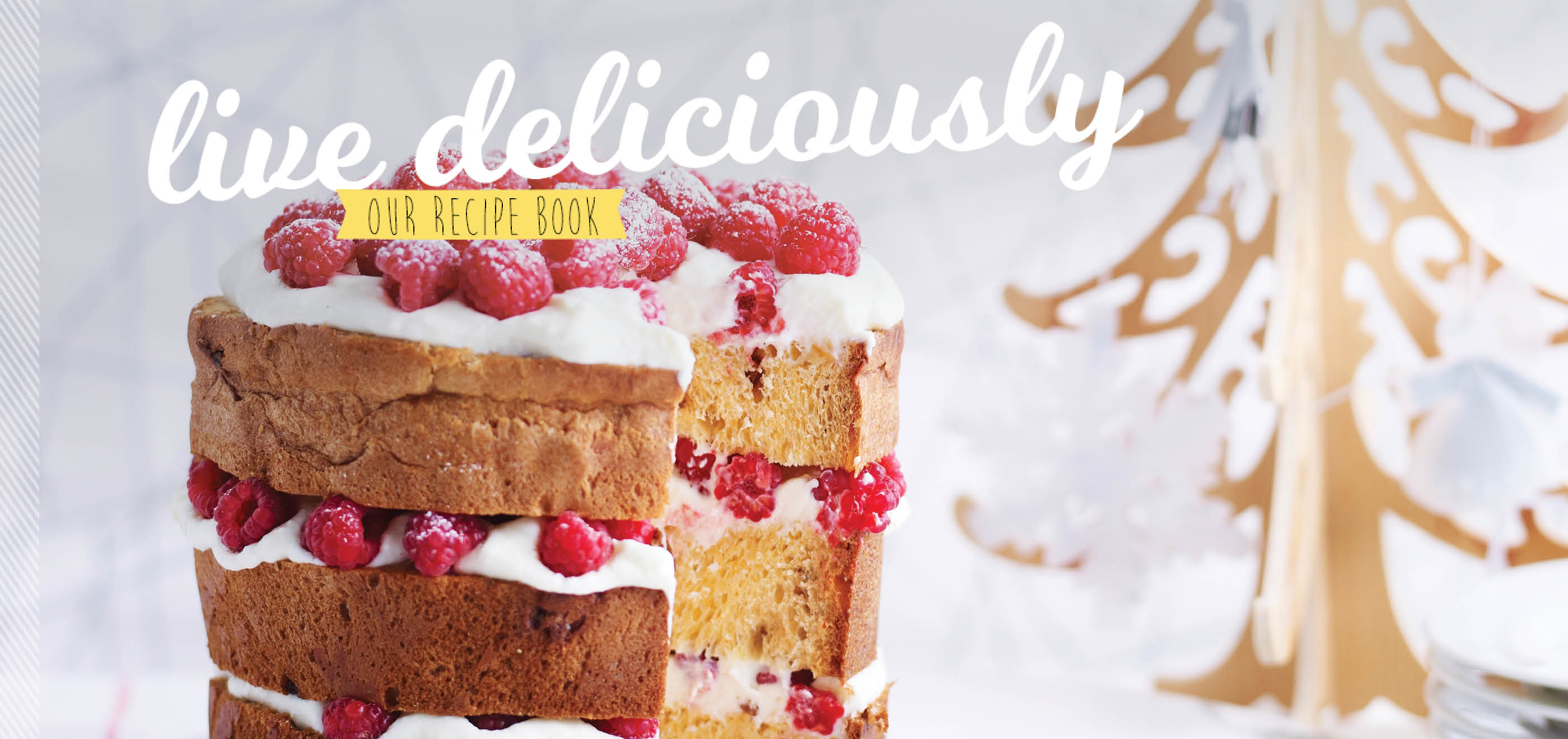 CH4872_Retail_Xmas19 Recipes_Homepage Banner_01A